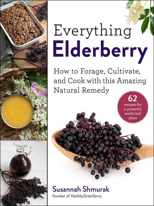 Title details for Everything Elderberry by Susannah Shmurak - Wait list